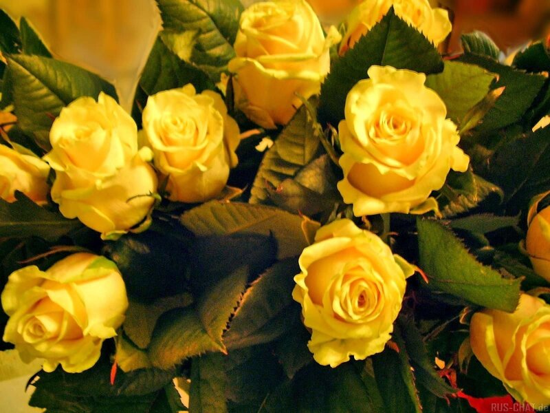 bouquet of yellow roses
