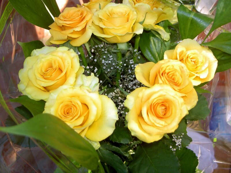bouquet of yellow roses