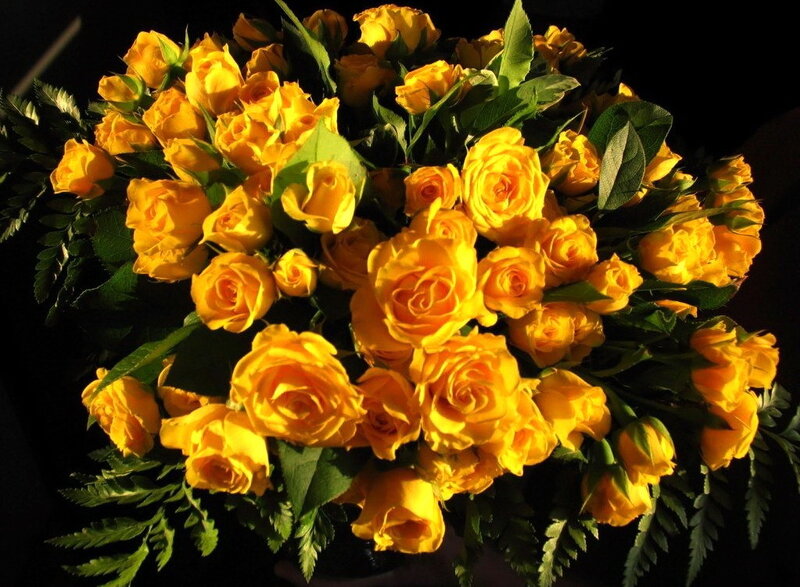 bouquet of yellow roses