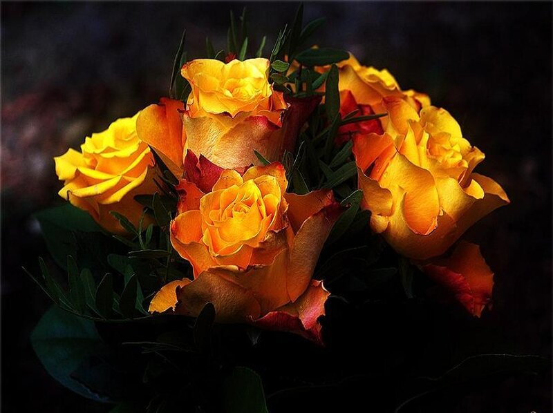 bouquet of yellow roses