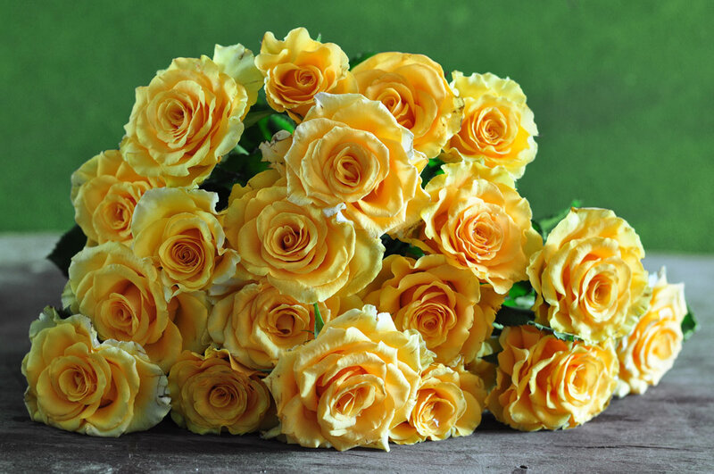 bouquet of yellow roses