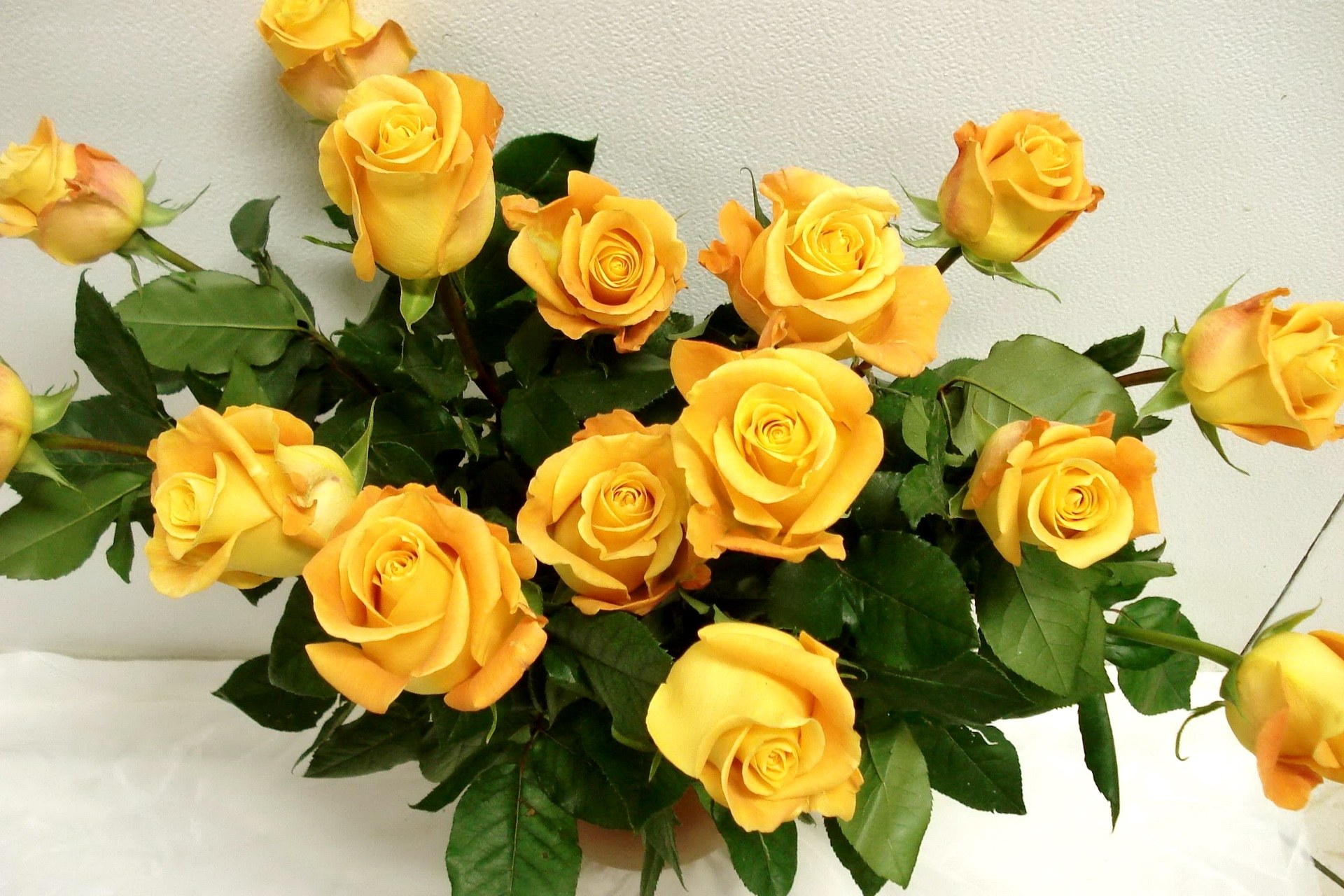 bouquet of yellow roses