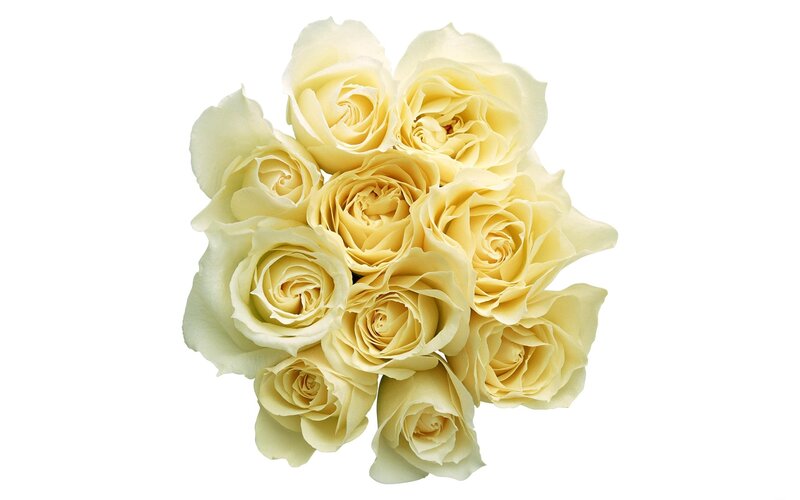 bouquet of yellow roses