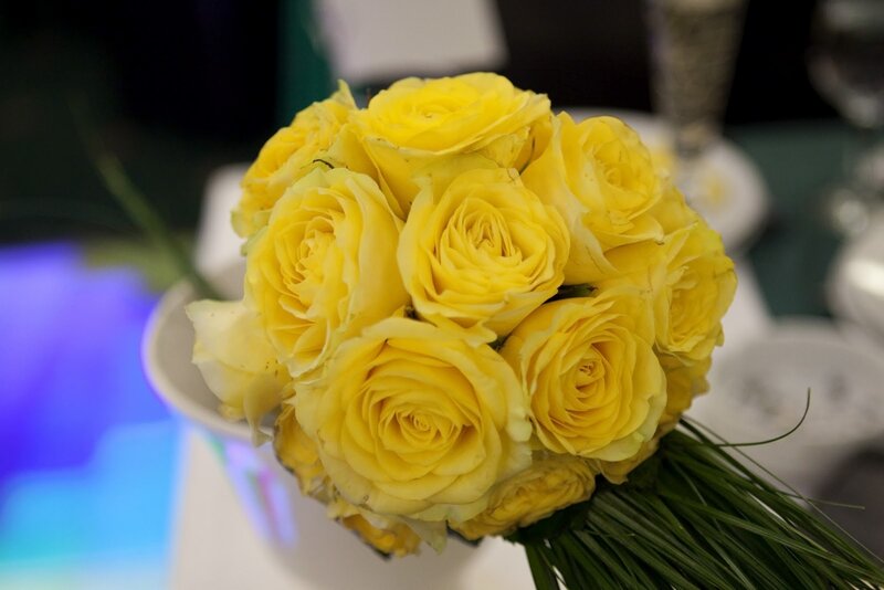 Bouquet of Yellow Roses — Calm, Photograph, Greenery