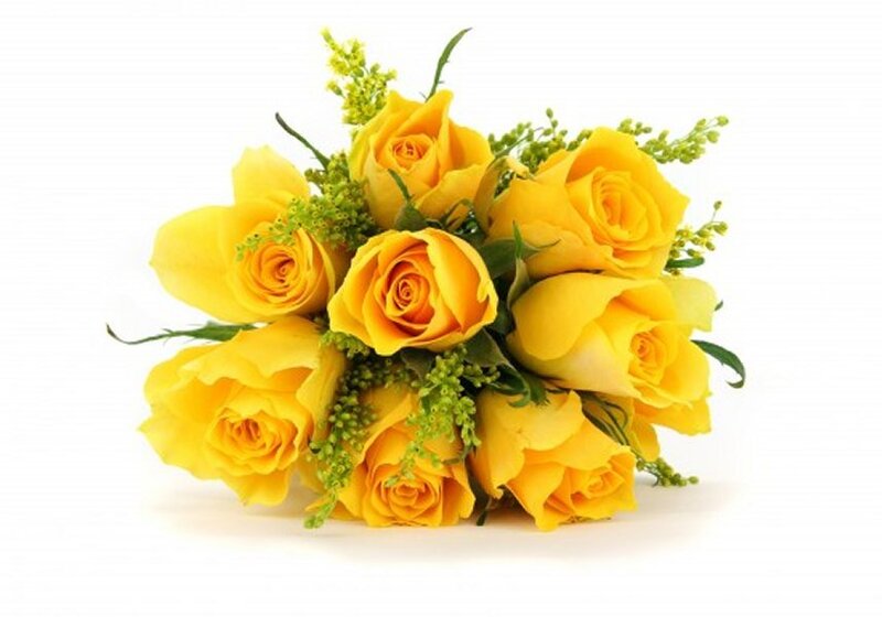 Bouquet of Yellow Roses — Calm, Photograph