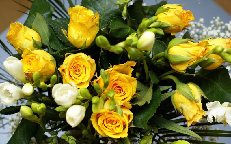 Bouquet of Yellow Roses — Calm