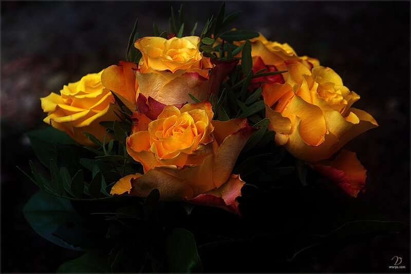 Bouquet of Yellow Roses — Dramatic, Photograph