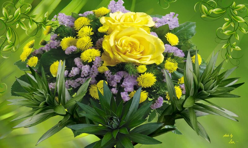 Bouquet of Yellow Roses — Vibrant