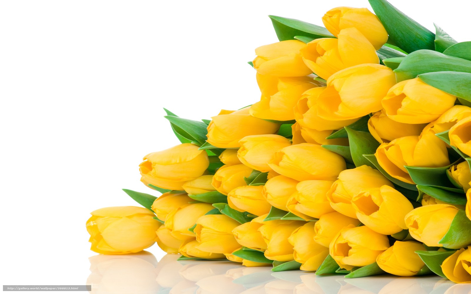 bouquet of yellow tulips