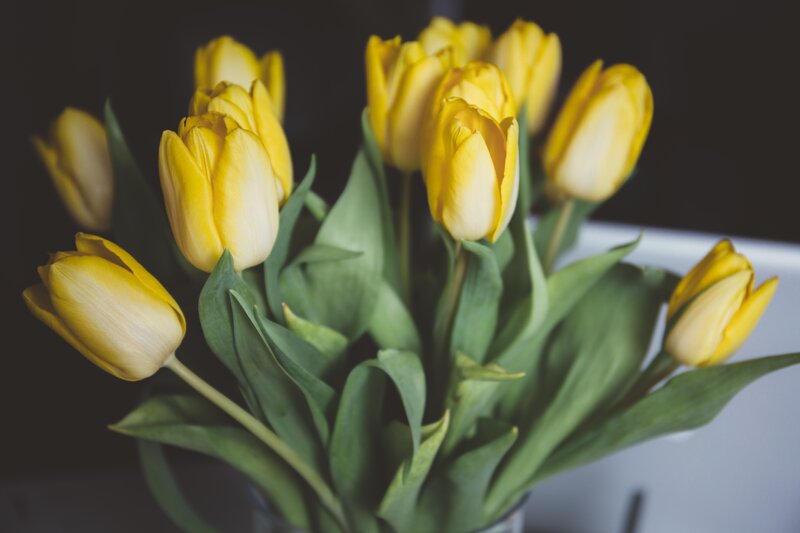 bouquet of yellow tulips