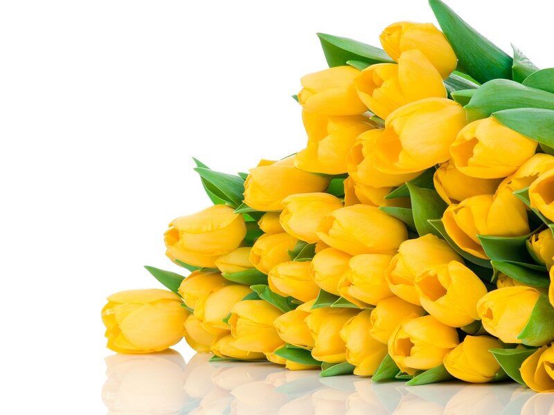 Bouquet of Yellow Tulips — Calm, Photograph, Green Leaves, Reflection
