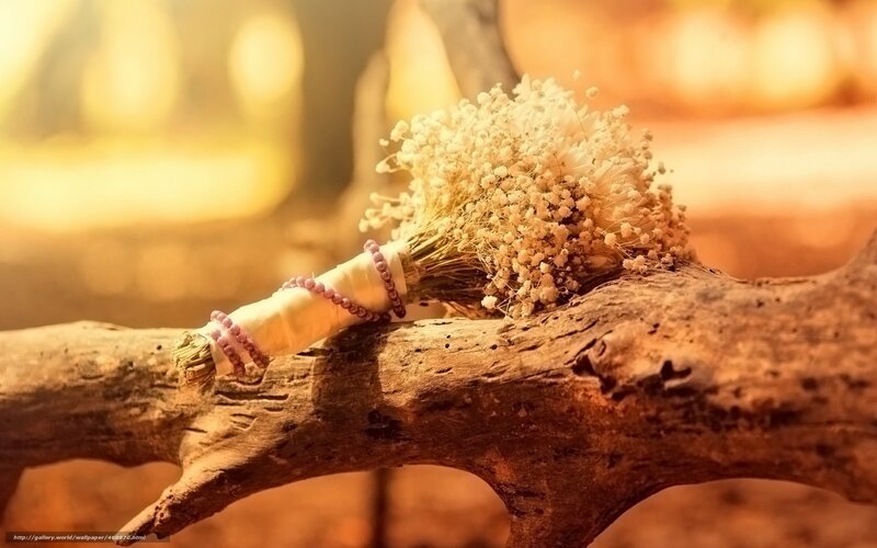 Bouquet on a wooden branch