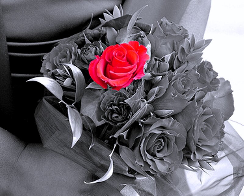 Bouquet with Red Rose — Dramatic