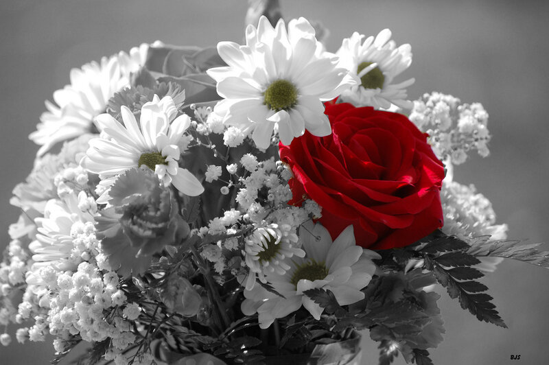 Bouquet with Red Rose