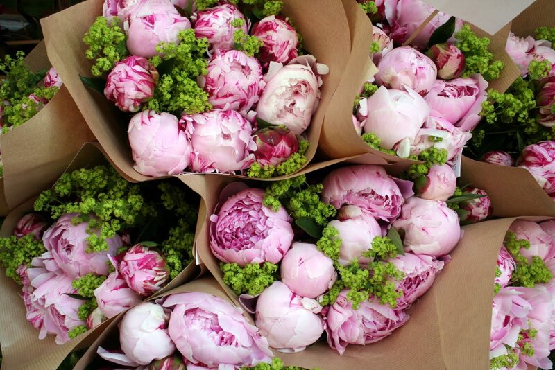 Bouquets of Peonies