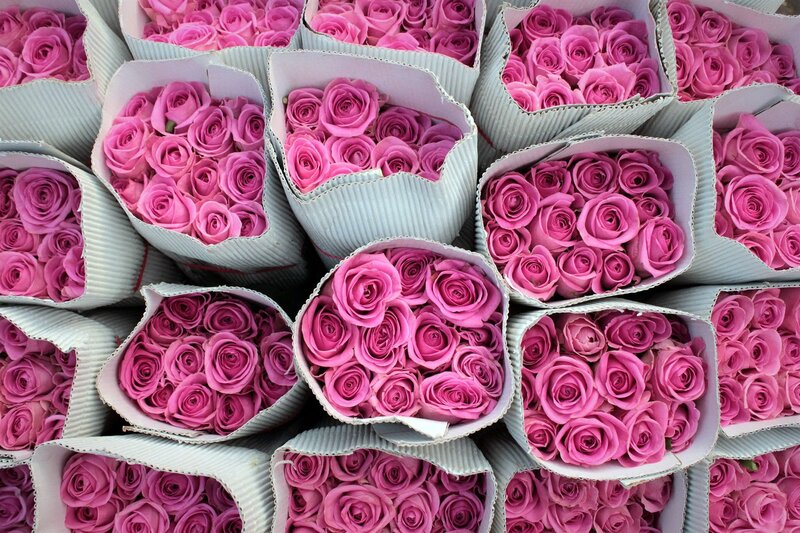 Bouquets of Pink Roses — Calm, Photograph, Cardboard Boxes