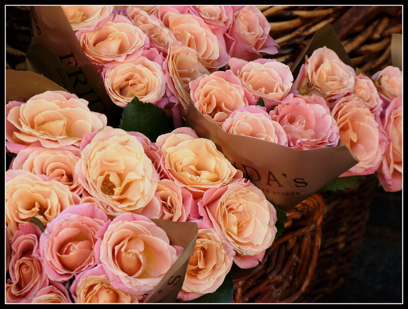 Bouquets of Pink Roses — Calm