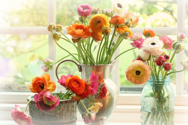 Bouquets of Ranunculus Flowers
