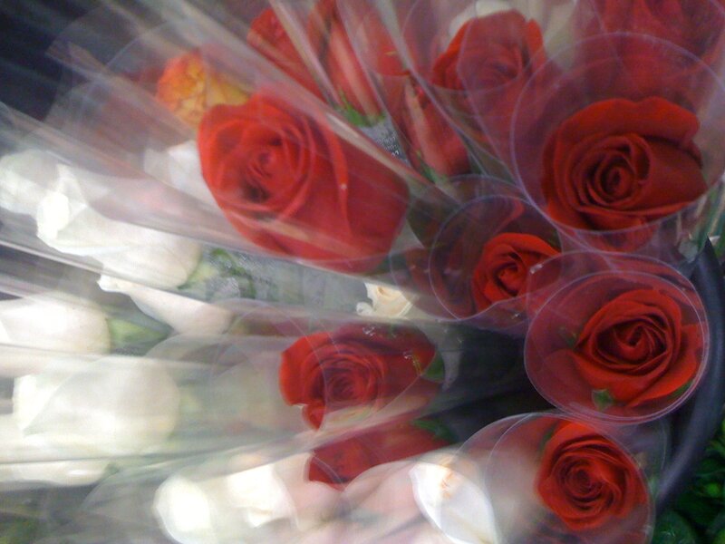 Bouquets of red and white roses