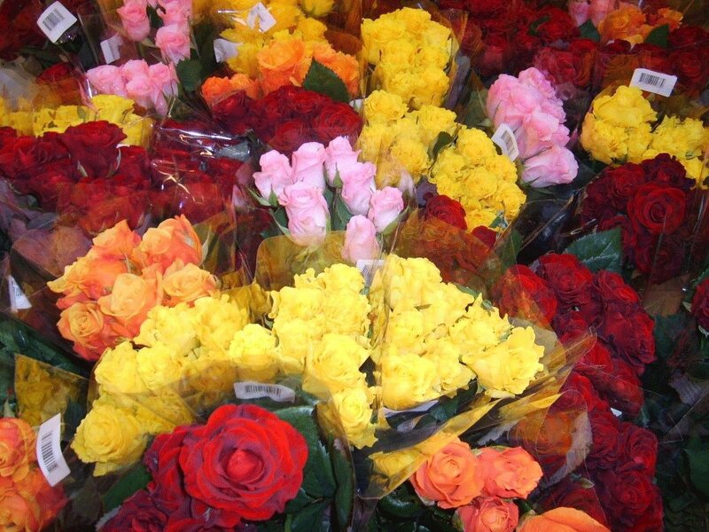 Bouquets of Roses — Yellow