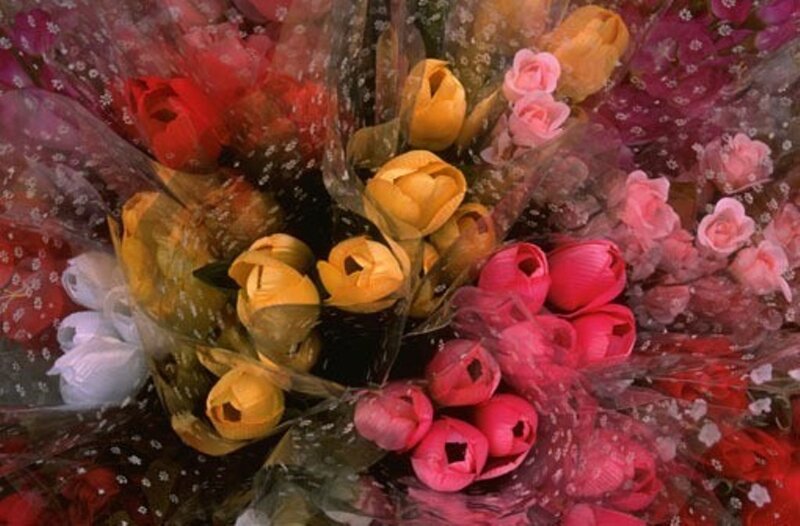 Bouquets of Tulips