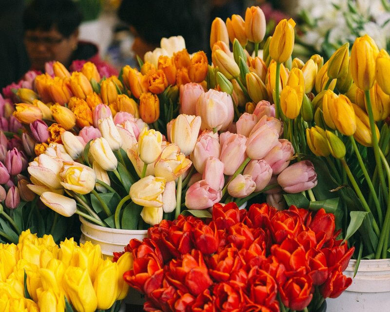 Bouquets of Tulips — Yellow, Vibrant