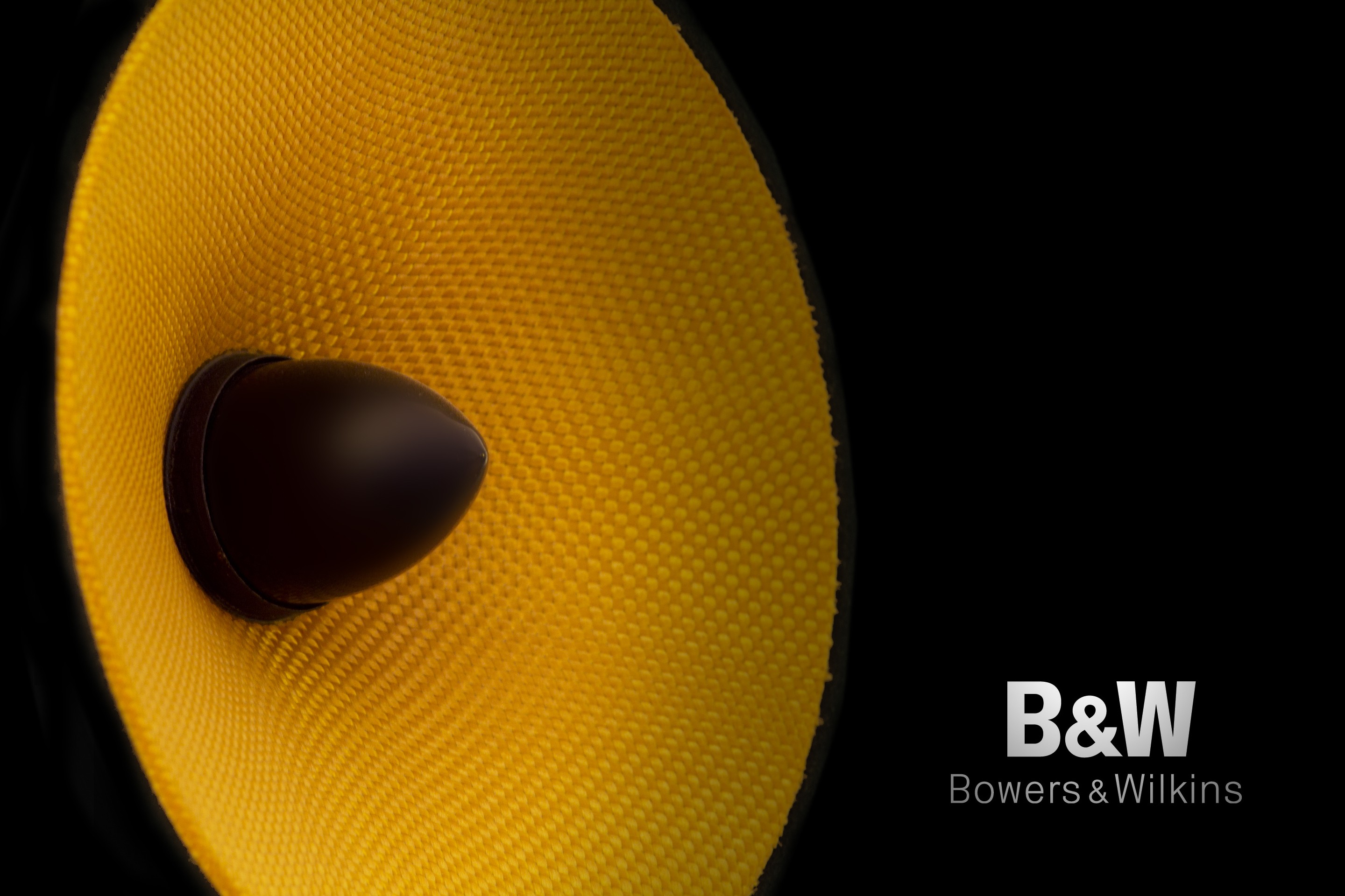 Bowers & Wilkins speaker driver