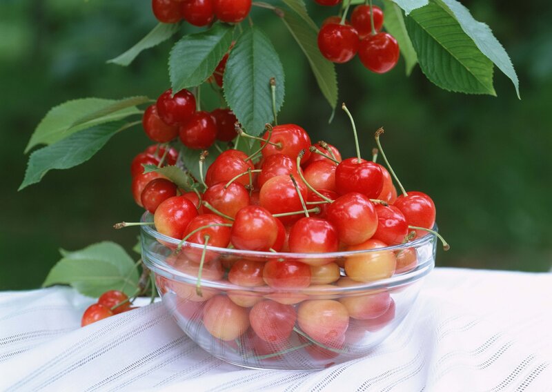 Bowl of Cherries — Red, Natural