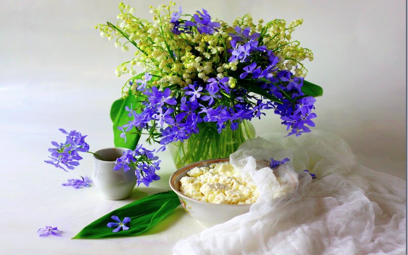 Bowl of Cottage Cheese