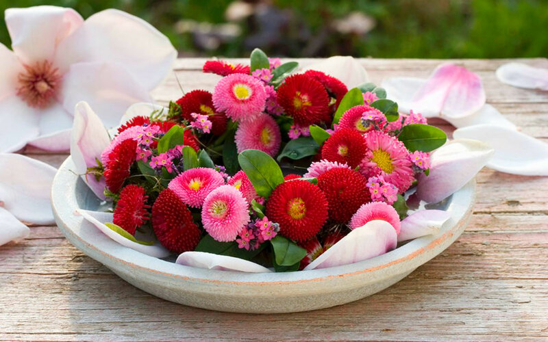 Bowl of Flowers — Red