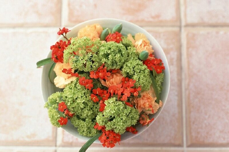 Bowl of Flowers