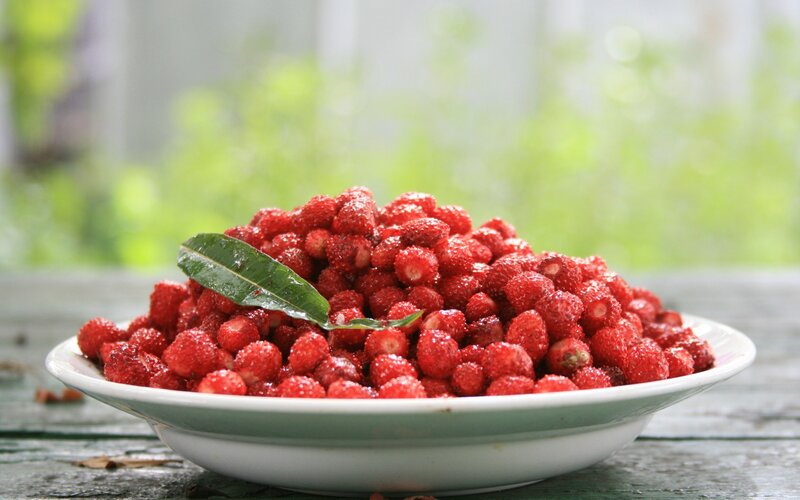 Bowl of fresh strawberries