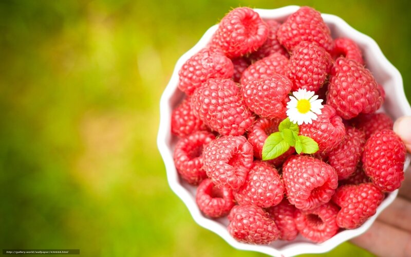 Bowl of Raspberries — Red, Fresh