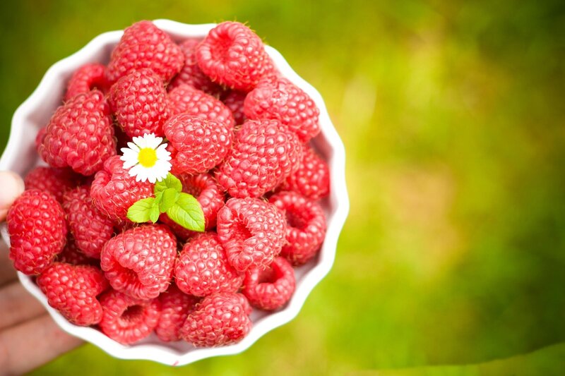 Bowl of Raspberries