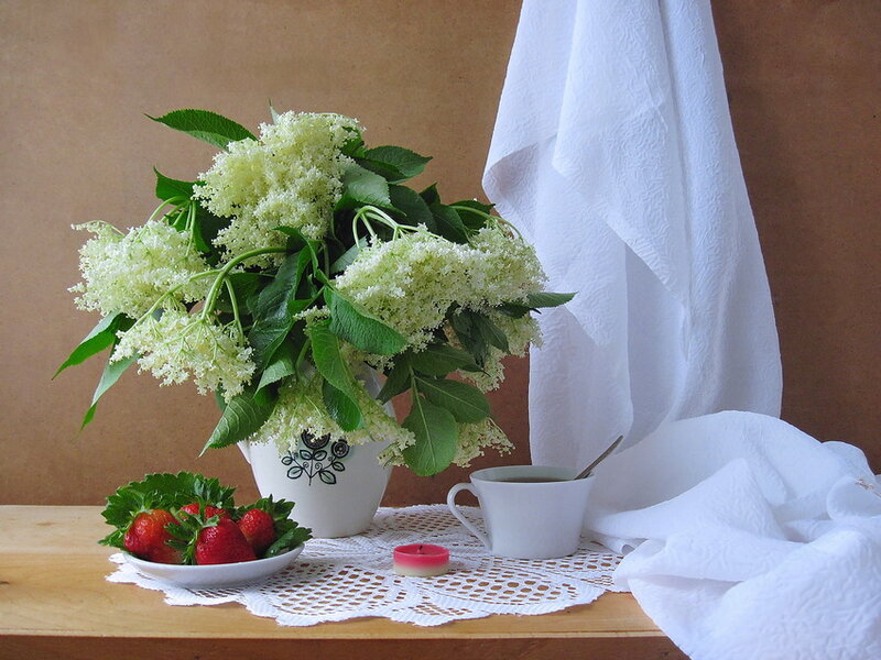 Bowl of Strawberries