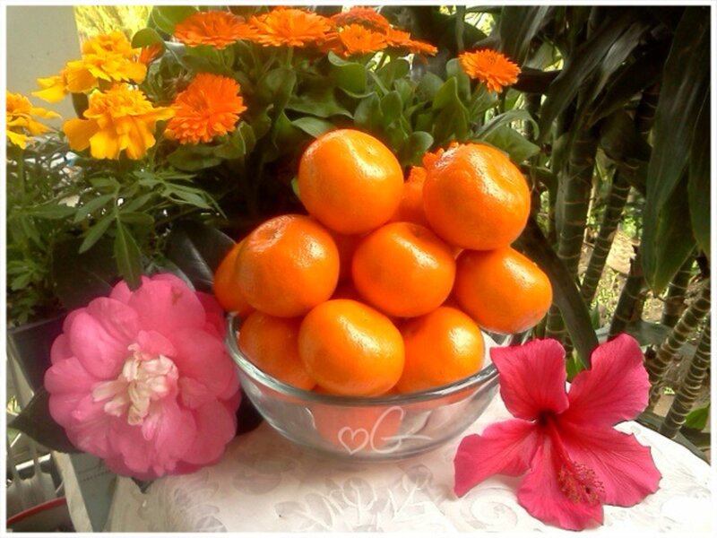 Bowl of Tangerines — Orange