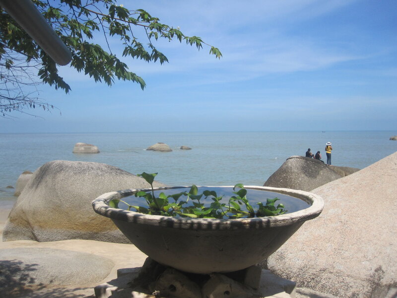 Bowl with Plants on Beach