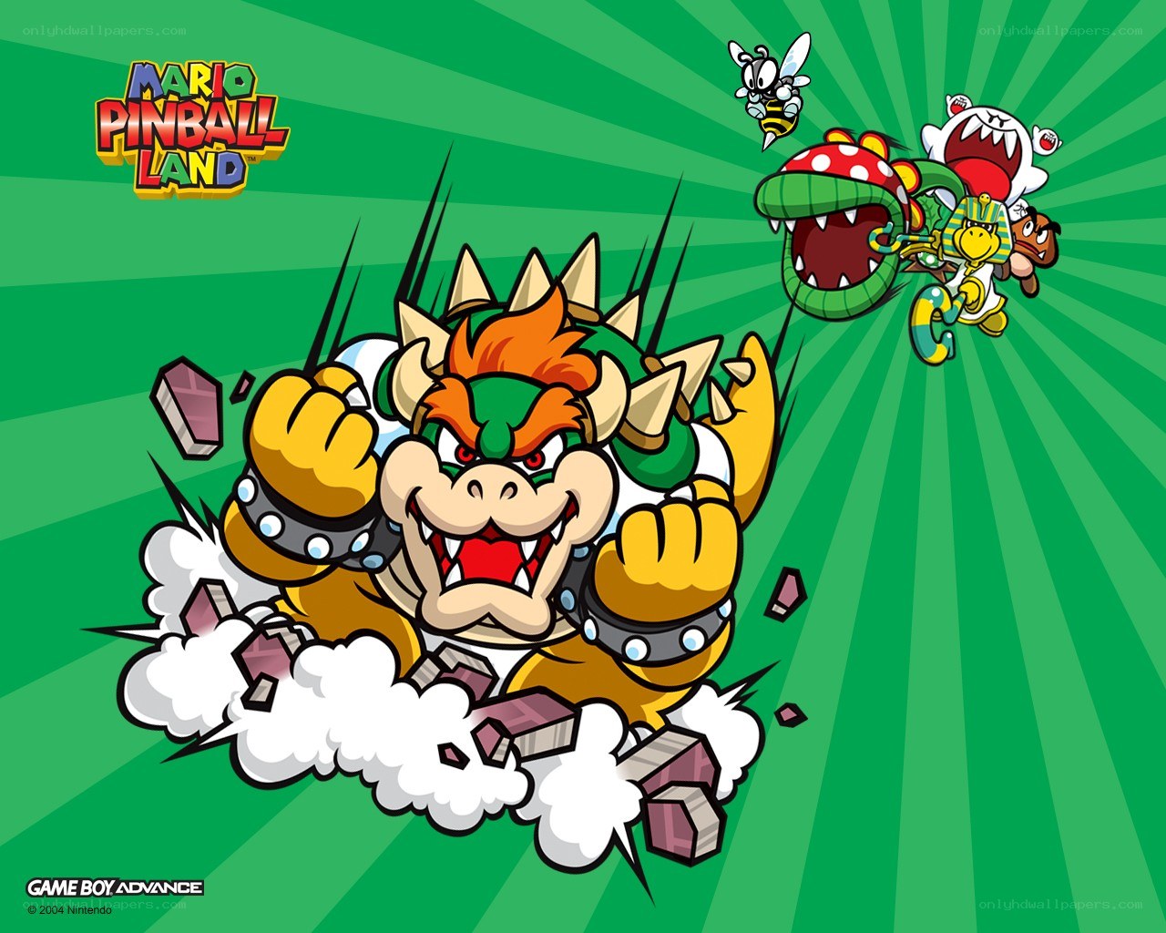Bowser breaks through wall