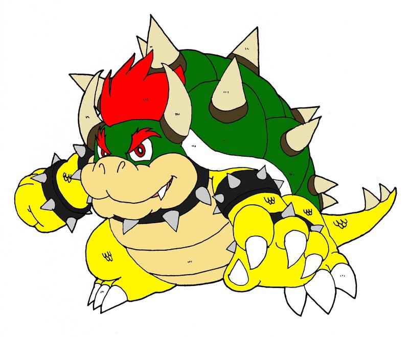 Bowser character illustration