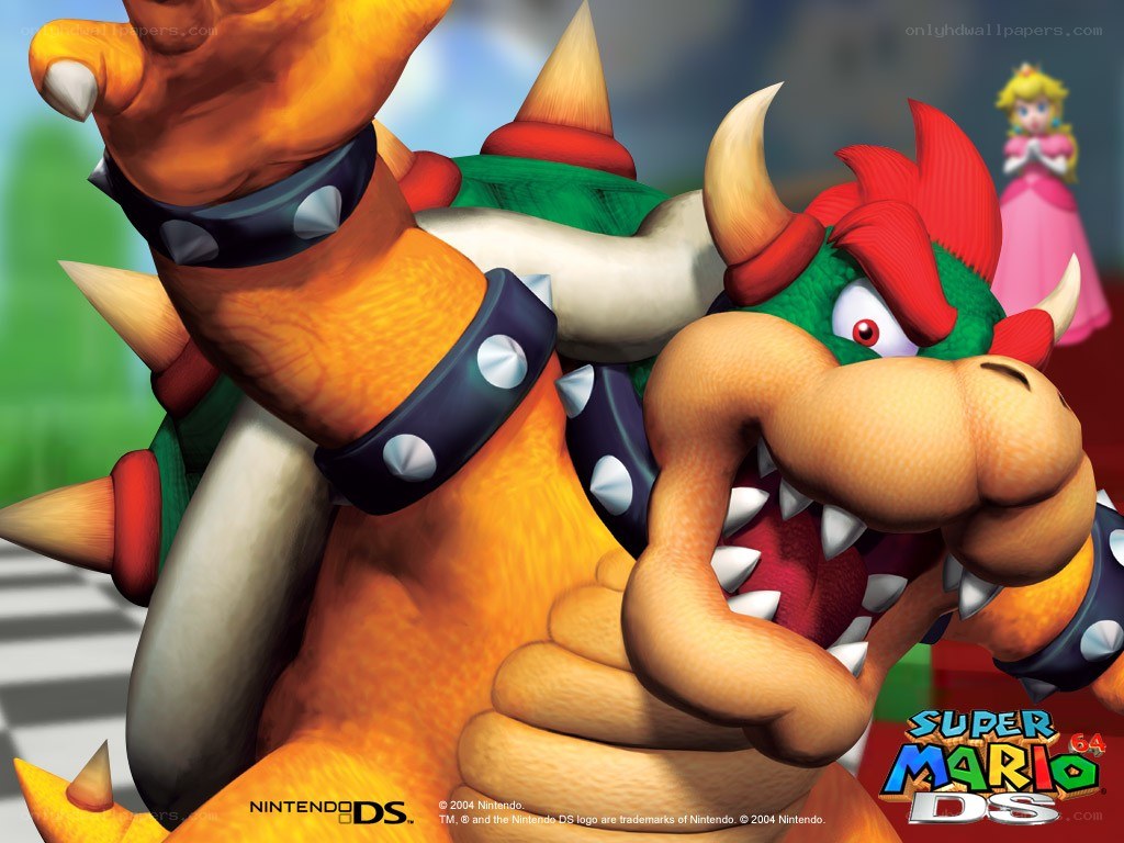 Bowser from Super Mario DS