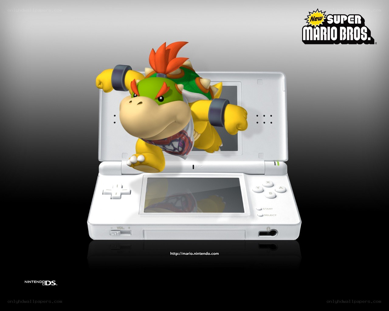 Bowser Jr. on Nintendo DS