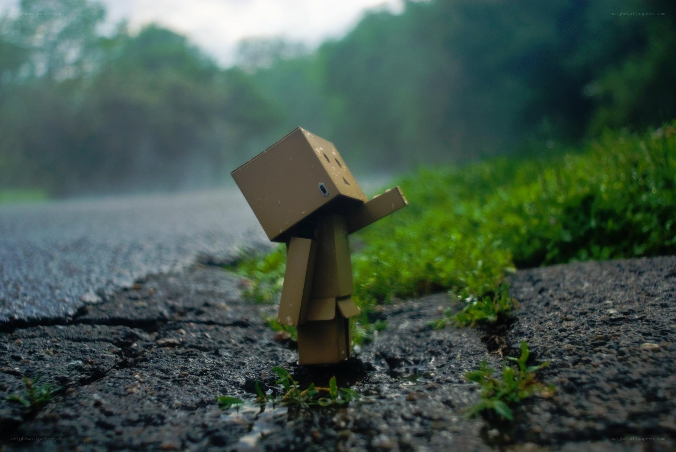 Box boy in the rain