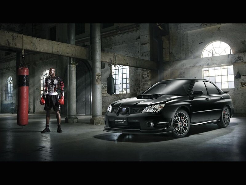 Boxer and black car in warehouse
