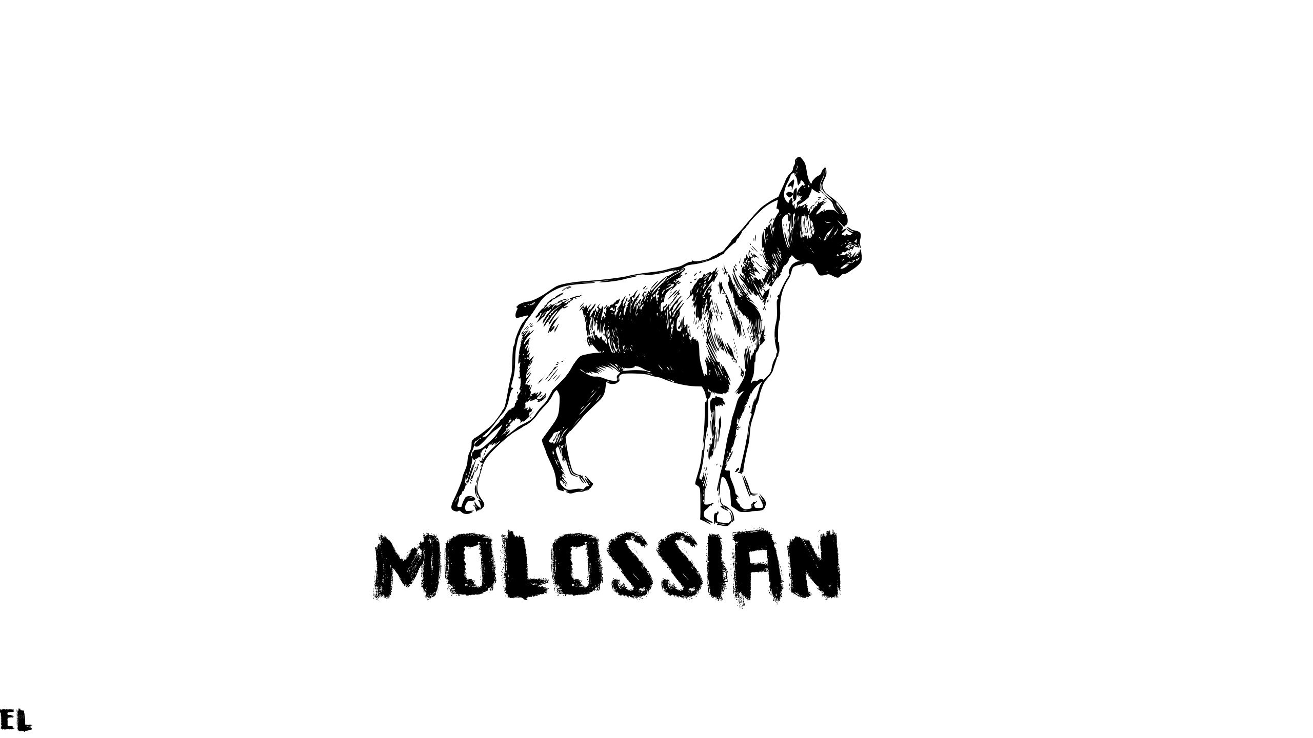 Boxer dog illustration logo