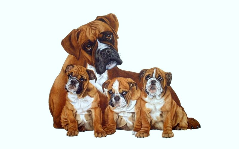 Boxer Dog with Puppies — Brown