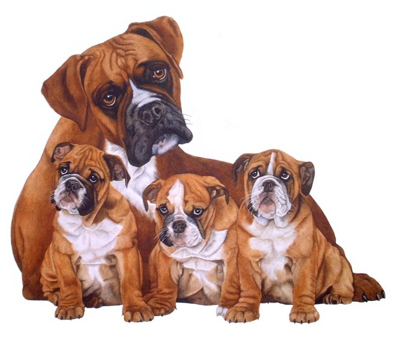 Boxer Dog with Puppies