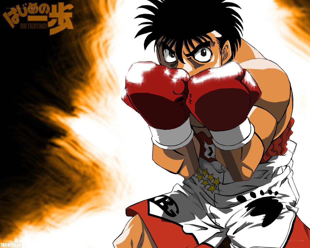 Boxer in fighting stance
