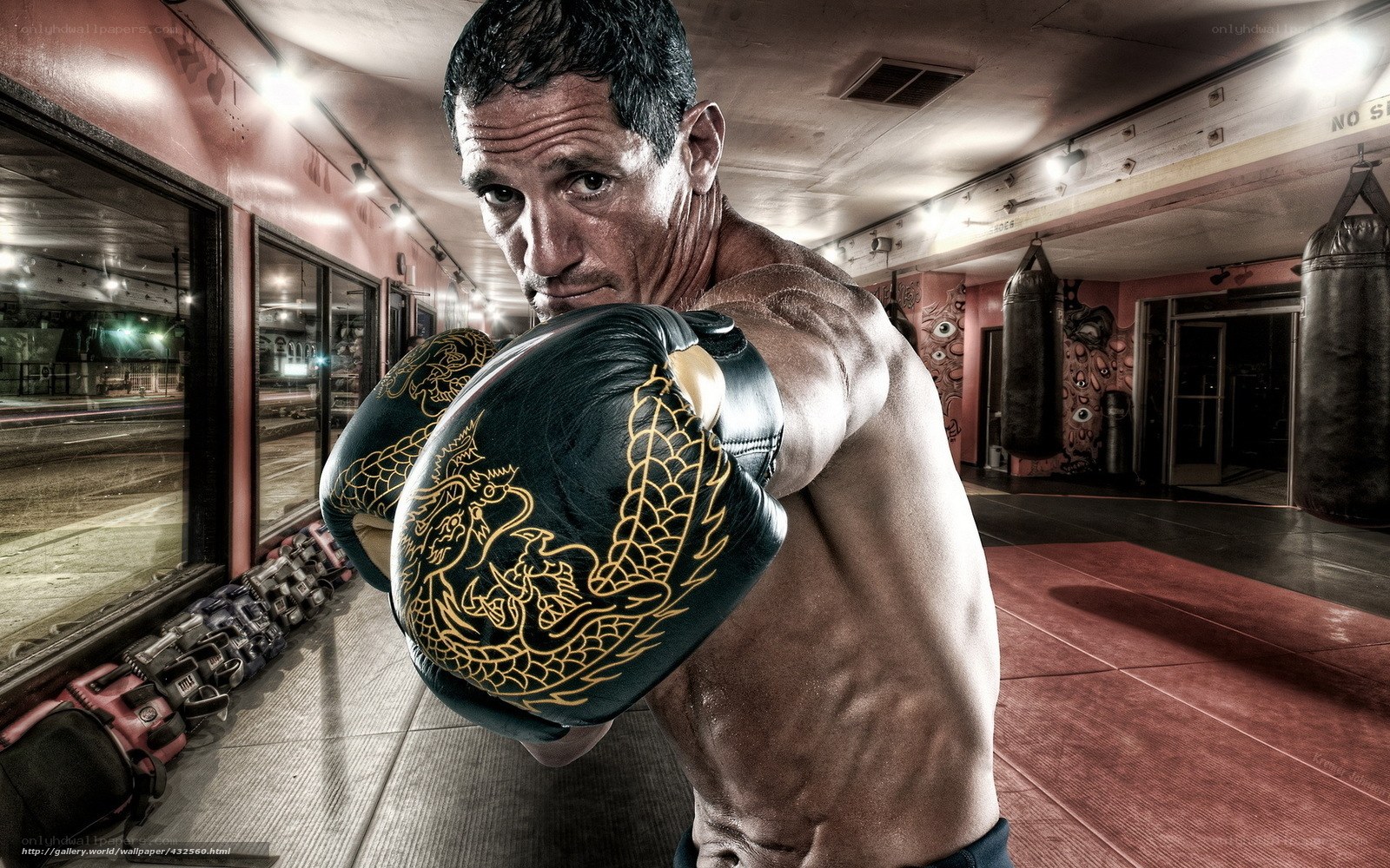 Boxer in gym with dragon gloves