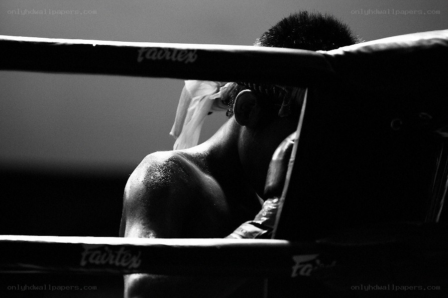 Boxer in the ring