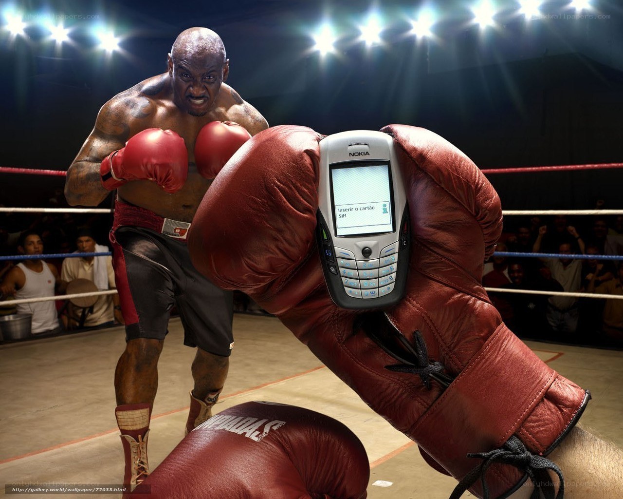 Boxer with Nokia phone